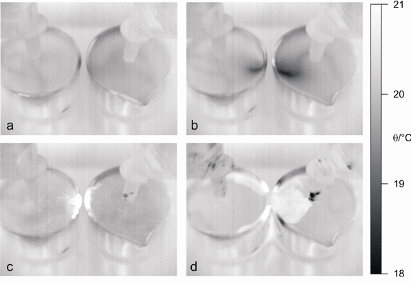 fig2