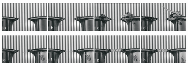 fig3