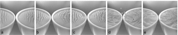 fig4