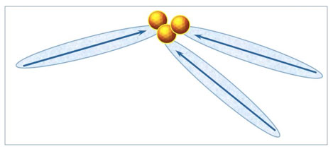 Figure 2: A supra-CDrot. Its CDrot interact through “like likes like” interactions, with constituting the “intermediate of unlikes”. CDrot are symbolized by the elongated domains. Their blue arrows symbolize their electric dipole moments. The yellow-brown balls symbolize .